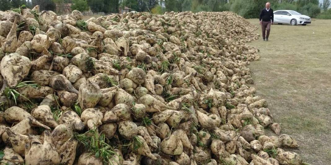 Kuraklık burayı etkilemedi, üretim yüzleri güldürdü! 1200 çiftçinin geçim kaynağı: Fabrikalar 2.100 TL’den alıyor 4